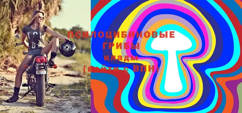 Галлюциногенные грибы Magic Shrooms  Армянск 